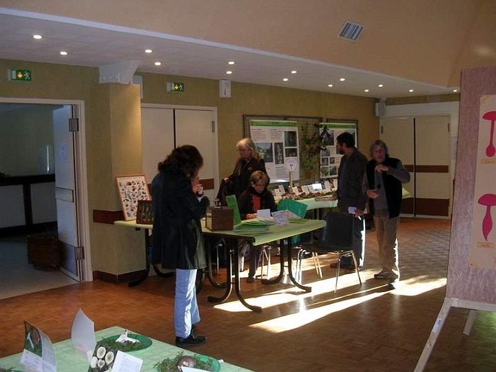 Expo champignons a St Leger 23